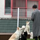 프로네앞마당 이미지