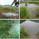 대물낚시 이미지