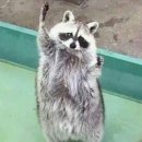 퇴근후, 여행드로잉 이미지