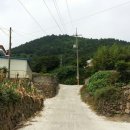 태인동 장내마을 이미지