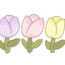베르트네일스튜디오