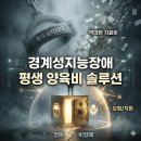교육사각지대 장애인 평생학습 프로그램 | "장애와 비장애 사이" 경계성지능장애 평생 양육비와 복지 사각지대 탈출하는 경제적 솔루션