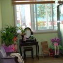 번창한의원 이미지