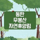 [생활정보] 동탄 무봉산 자연휴양림 : 도심 속 피크닉