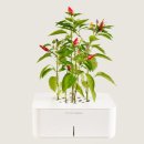 스마트가드너 이미지