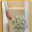 클로리스플라워 - 서대문구 통일로 366 | 클로리스플라워
