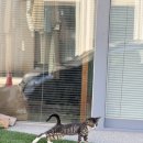 엘리펀트플라잉 이미지