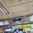 압구정 현대백화점 본점 B1 리빙 리뉴얼 + 크리스마스 소품 구경 이미지