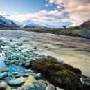 공존(共存) 이미지