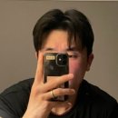 파틀렉 이미지