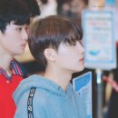 Let‘s go 레고 이미지