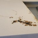 에이치코퍼레이션 이미지