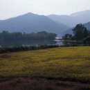 아이엠PC방 이미지