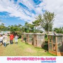 새소리농장 이미지