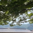 나리 야영장 옆 이미지