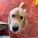 제주외가 | [제주도]혼자 놀고오는 제주도 후기