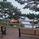 서복전시관 이미지