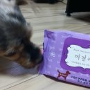 1공단로-7 티스토리