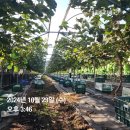 영재농장 이미지