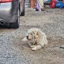 강변석정 이미지