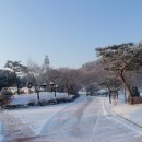 미리내캠프 이미지