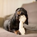 민락동물병원 이미지