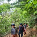 매암산 등산로 이미지