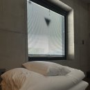 호리굴 이미지