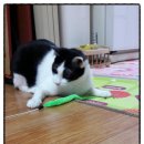 디비에스 주식회사 | 이리온몰 12월 쇼핑 후기