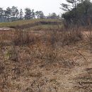 현충탑교차로 이미지