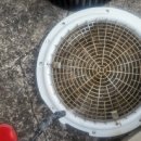 청소고수