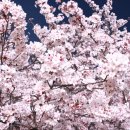 산수유아뜰리에 이미지