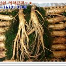 금산인삼직거래 이미지