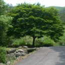 오감연결길 이미지