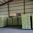 반딧불마트 이미지