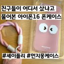 브랜드스타일멕 - 의정부시 행복로 16 | [아이폰16 케이스 추천] 셰이플리 먼지몽 로프스트랩 분홍색 케이스로 꾸며봤어요!