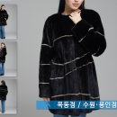 대동모피
