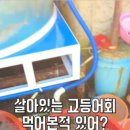 통영회포차