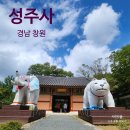 성주사 회귀형 숲길 | 경남 창원 성주사 곰절 사찰여행 명소 맨발 걷기 황톳길