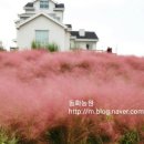 동화조경농원 이미지