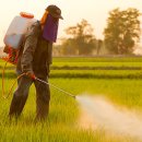 경남농약종묘사 이미지