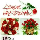 오순도순 Daum카페