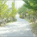 오가낭뜰 족구장 이미지