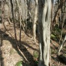 (주)나무 이미지