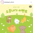 도그도그펫 | 왓도그캣 펫유모차 후기! 수술 후 산책도 걱정 없는 포로리 강아지 유모차