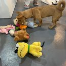 한아름 쉼터 이미지