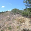 국사봉 농장 이미지