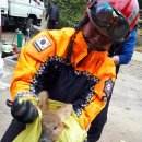 양천소방서 이미지