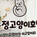 호텔 샤샤 이미지