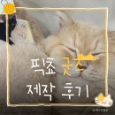 자유형 | 아크릴키링 굿즈제작 픽쵸 LED 자유형 포토 키링 후기